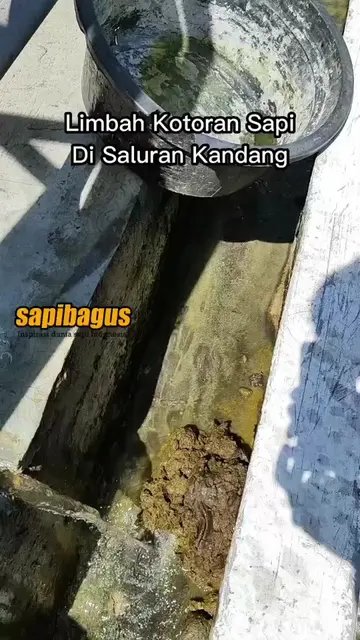 Pemanfaatan-Limbah-Kotoran-Ternak